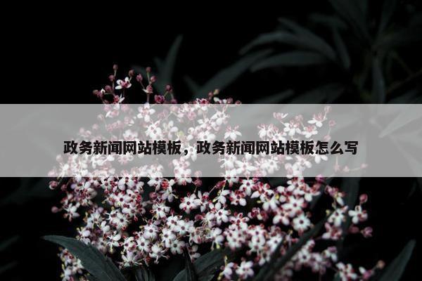 政务新闻网站模板，政务新闻网站模板怎么写