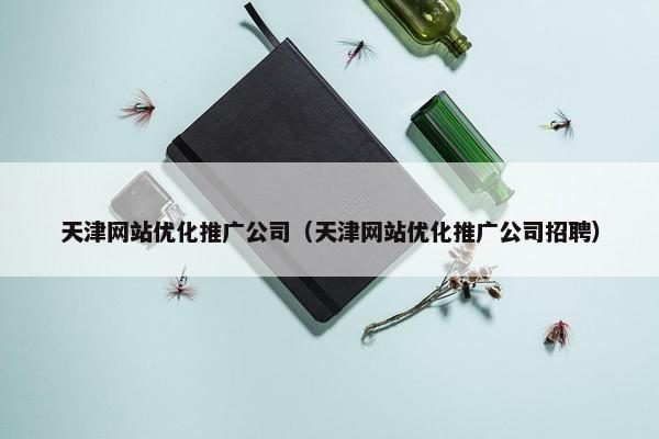 天津网站优化推广公司（天津网站优化推广公司招聘）