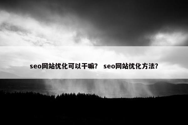 seo网站优化可以干嘛？ seo网站优化方法？