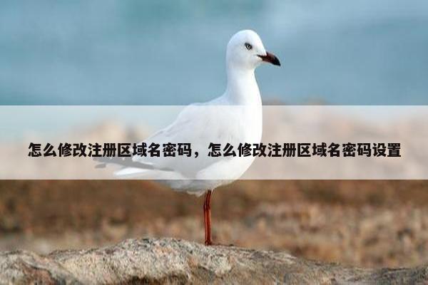 怎么修改注册区域名密码，怎么修改注册区域名密码设置
