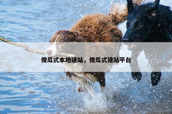傻瓜式本地建站，傻瓜式建站平台