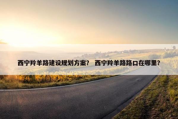 西宁羚羊路建设规划方案？ 西宁羚羊路路口在哪里？
