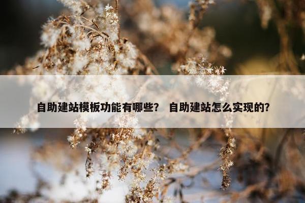 自助建站模板功能有哪些？ 自助建站怎么实现的？