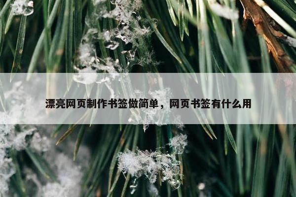 漂亮网页制作书签做简单，网页书签有什么用