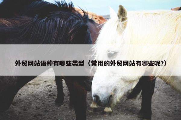 外贸网站语种有哪些类型（常用的外贸网站有哪些呢?）