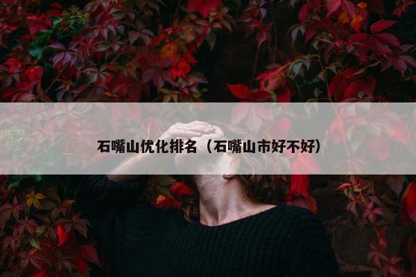 石嘴山优化排名（石嘴山市好不好）
