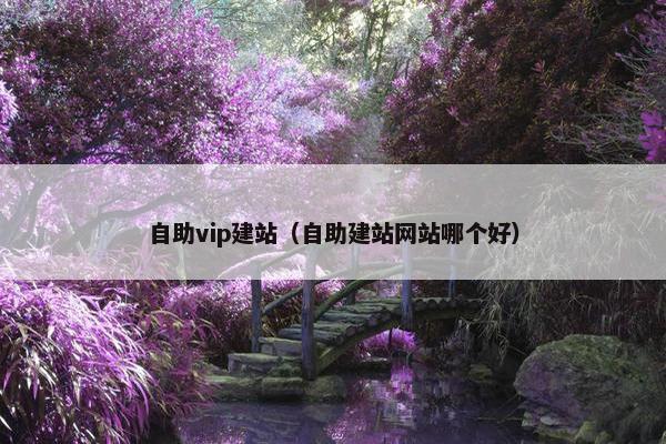 自助vip建站（自助建站网站哪个好）