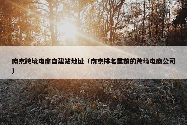南京跨境电商自建站地址（南京排名靠前的跨境电商公司）