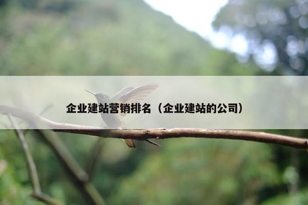 企业建站营销排名（企业建站的公司）