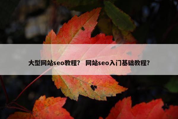 大型网站seo教程？ 网站seo入门基础教程？