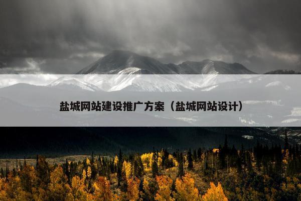 盐城网站建设推广方案（盐城网站设计）