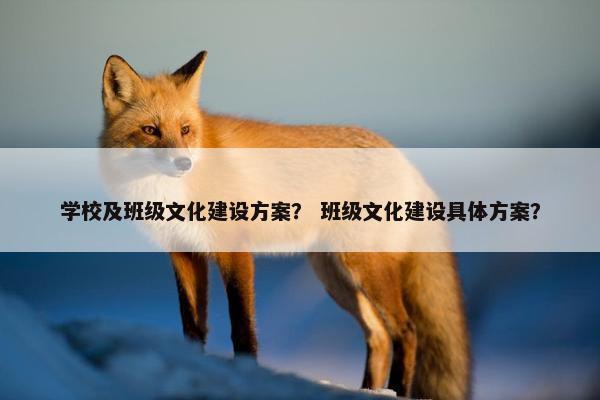 学校及班级文化建设方案？ 班级文化建设具体方案？