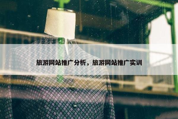 旅游网站推广分析，旅游网站推广实训