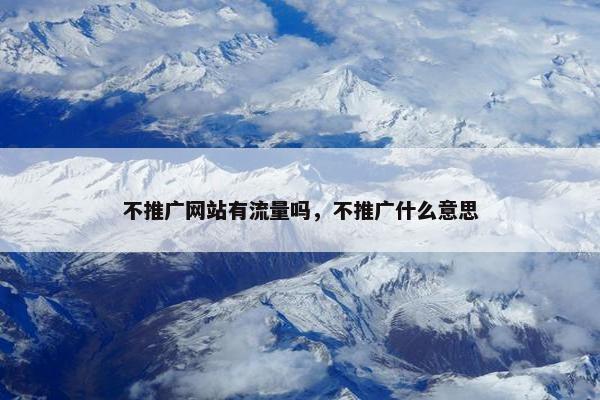 不推广网站有流量吗，不推广什么意思