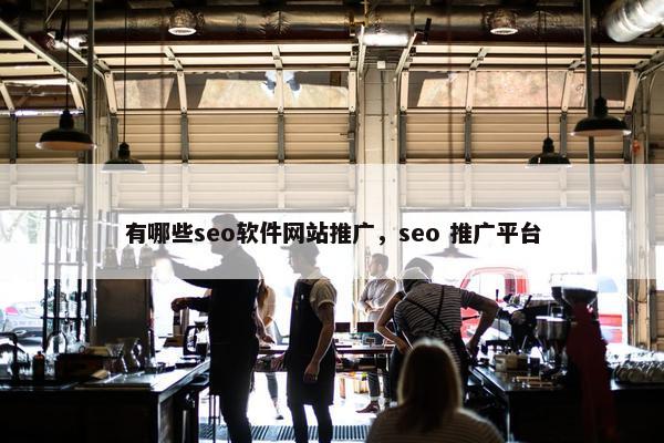 有哪些seo软件网站推广，seo 推广平台