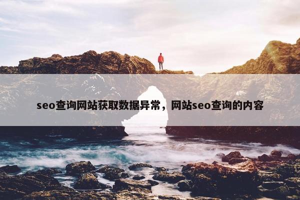 seo查询网站获取数据异常，网站seo查询的内容