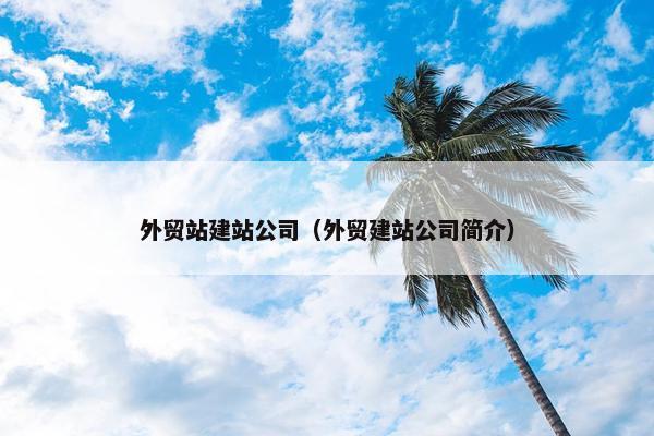 外贸站建站公司（外贸建站公司简介）