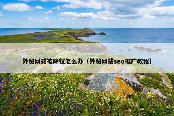 外贸网站被降权怎么办（外贸网站seo推广教程）