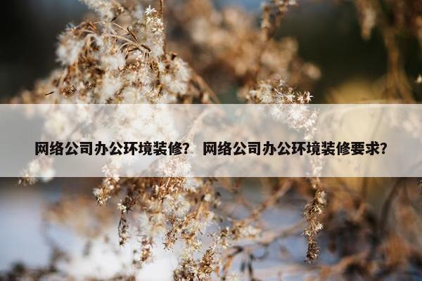网络公司办公环境装修？ 网络公司办公环境装修要求？