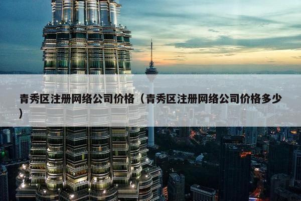 青秀区注册网络公司价格（青秀区注册网络公司价格多少）