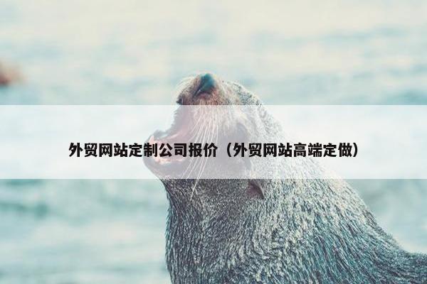 外贸网站定制公司报价（外贸网站高端定做）
