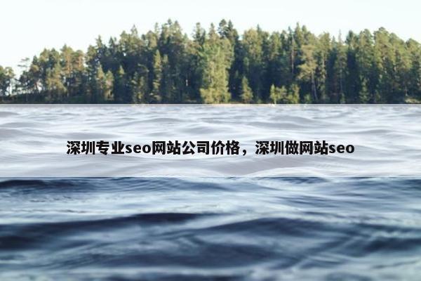 深圳专业seo网站公司价格，深圳做网站seo