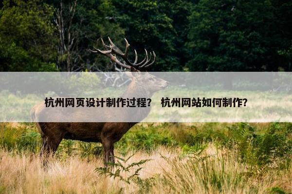 杭州网页设计制作过程？ 杭州网站如何制作？