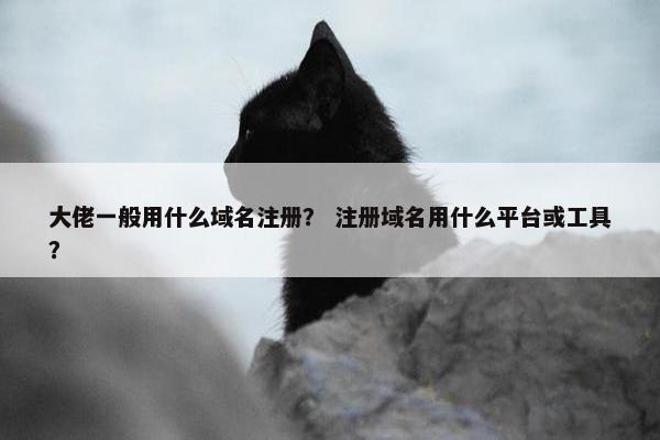 大佬一般用什么域名注册？ 注册域名用什么平台或工具？