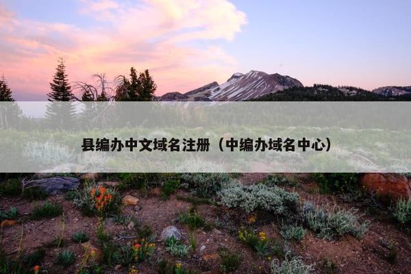 县编办中文域名注册（中编办域名中心）