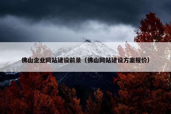 佛山企业网站建设前景（佛山网站建设方案报价）