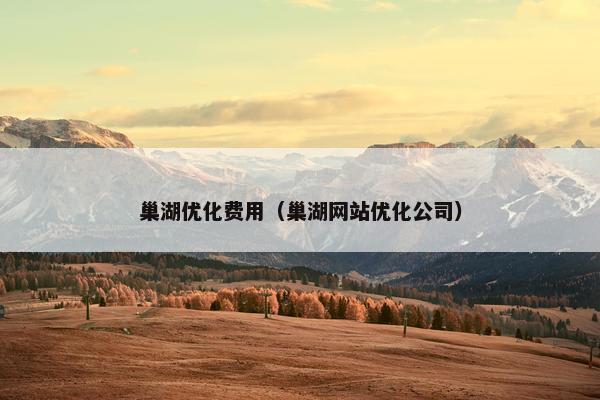 巢湖优化费用（巢湖网站优化公司）