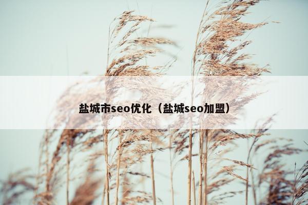 盐城市seo优化（盐城seo加盟）