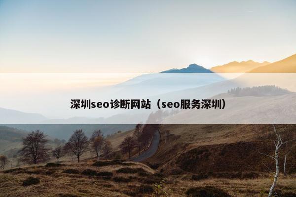 深圳seo诊断网站（seo服务深圳）