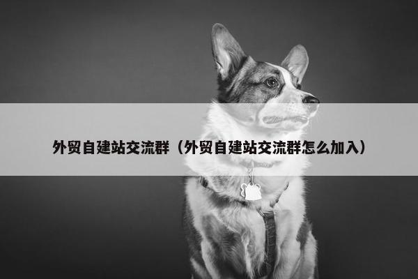 外贸自建站交流群（外贸自建站交流群怎么加入）