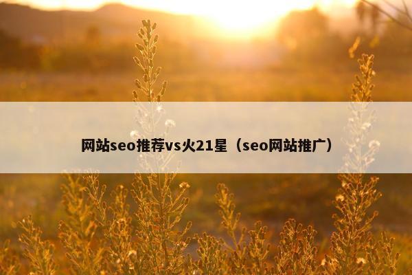 网站seo推荐vs火21星（seo网站推广）