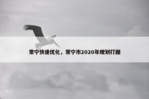 常宁快速优化，常宁市2020年规划打图