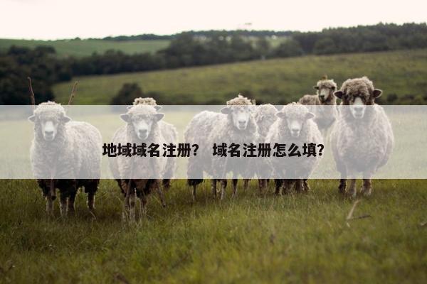 地域域名注册？ 域名注册怎么填？