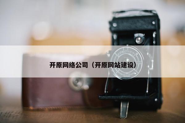 开原网络公司（开原网站建设）