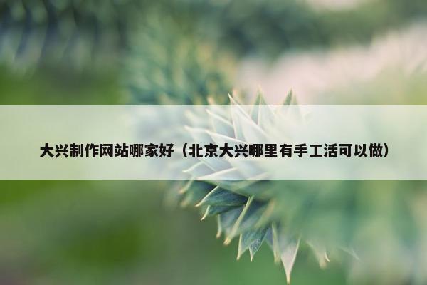 大兴制作网站哪家好（北京大兴哪里有手工活可以做）