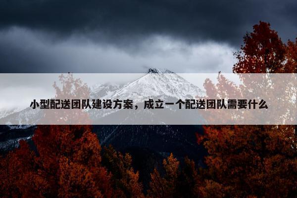 小型配送团队建设方案，成立一个配送团队需要什么