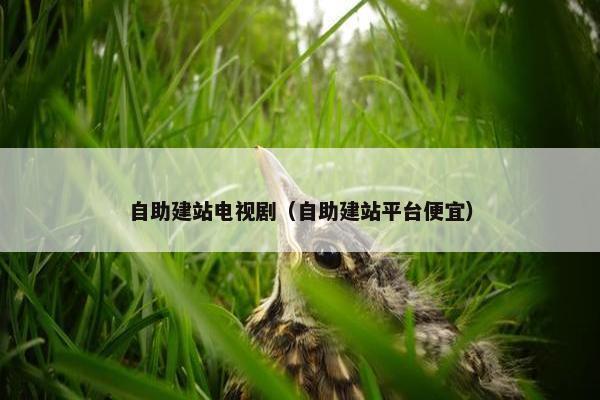自助建站电视剧（自助建站平台便宜）