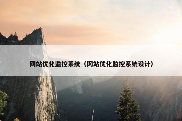 网站优化监控系统（网站优化监控系统设计）