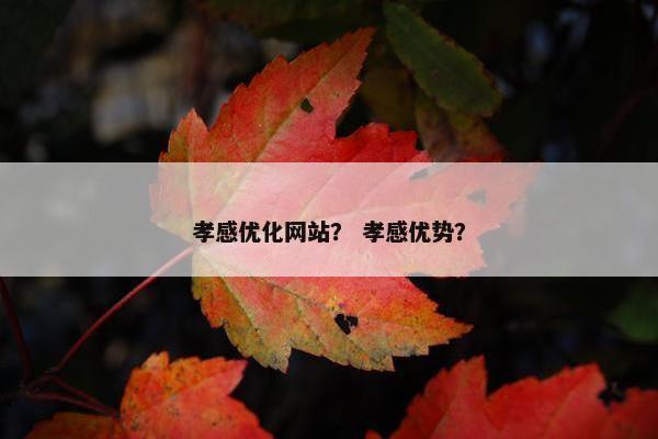 孝感优化网站？ 孝感优势？