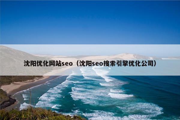 沈阳优化网站seo（沈阳seo搜索引擎优化公司）