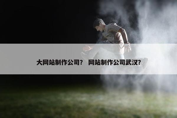 大网站制作公司？ 网站制作公司武汉？