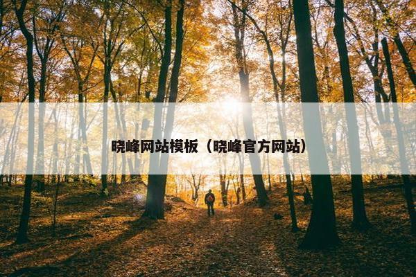 晓峰网站模板（晓峰官方网站）