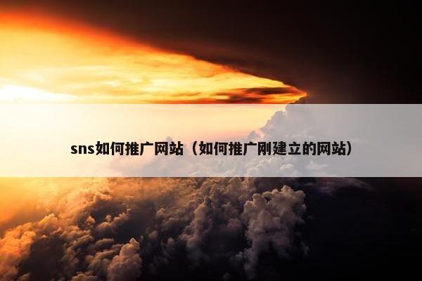 sns如何推广网站（如何推广刚建立的网站）