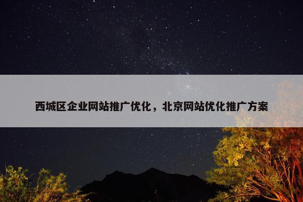 西城区企业网站推广优化，北京网站优化推广方案