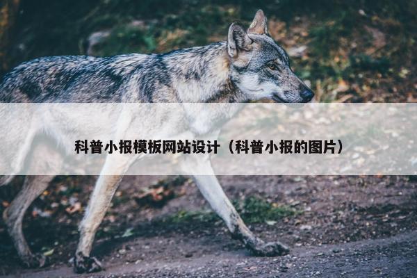 科普小报模板网站设计（科普小报的图片）