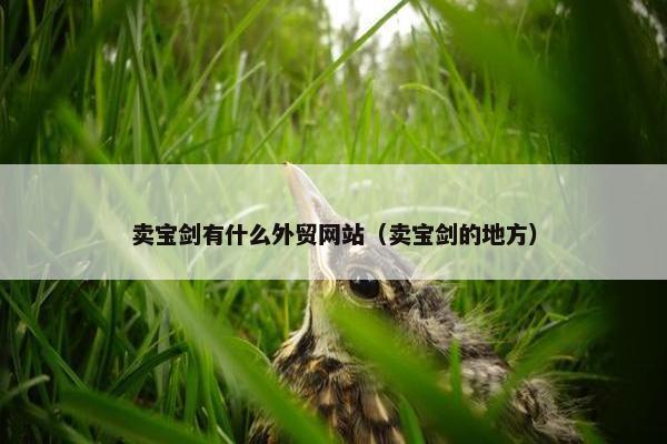 卖宝剑有什么外贸网站（卖宝剑的地方）